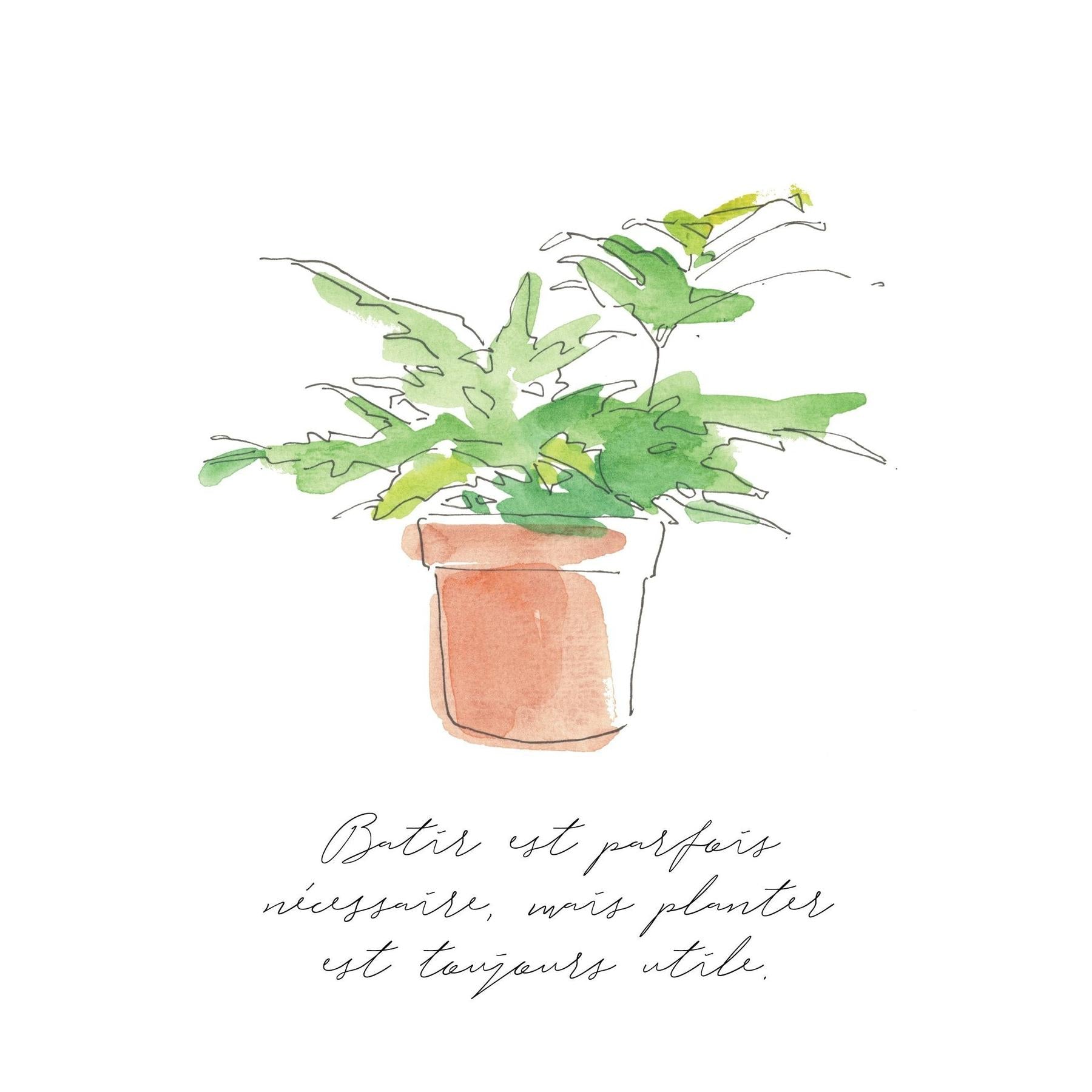 Small Plant Posters - 3 Pack-Accessories ($6 Ship/15oz)-The Succulent Source