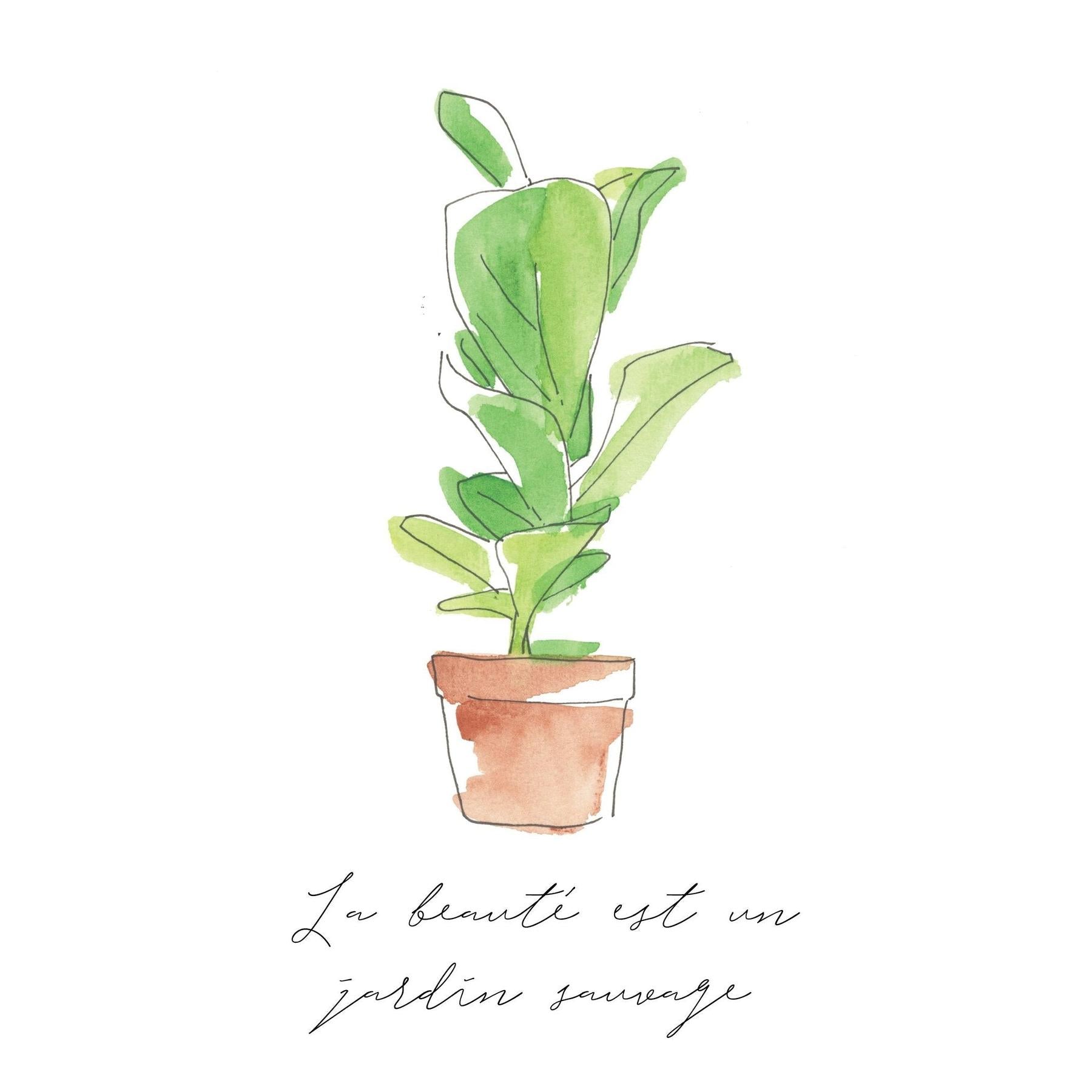 Small Plant Posters - 3 Pack-Accessories ($6 Ship/15oz)-The Succulent Source