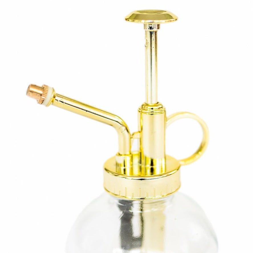 Tillandsia Air Plant Mister-airplant-The Succulent Source