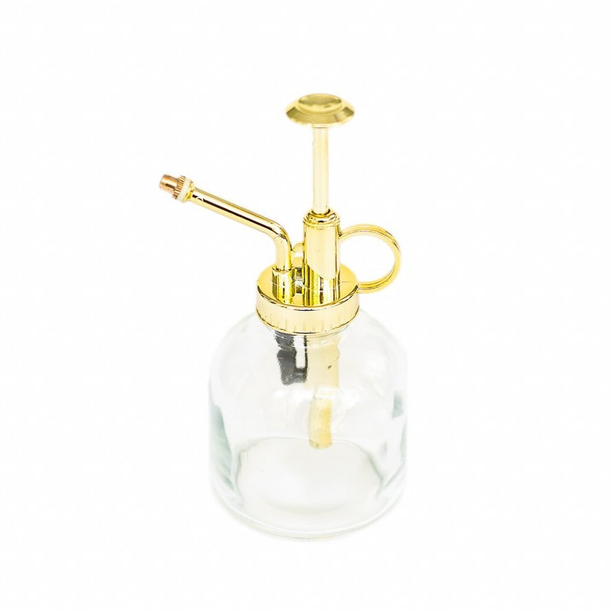 Tillandsia Air Plant Mister-airplant-The Succulent Source