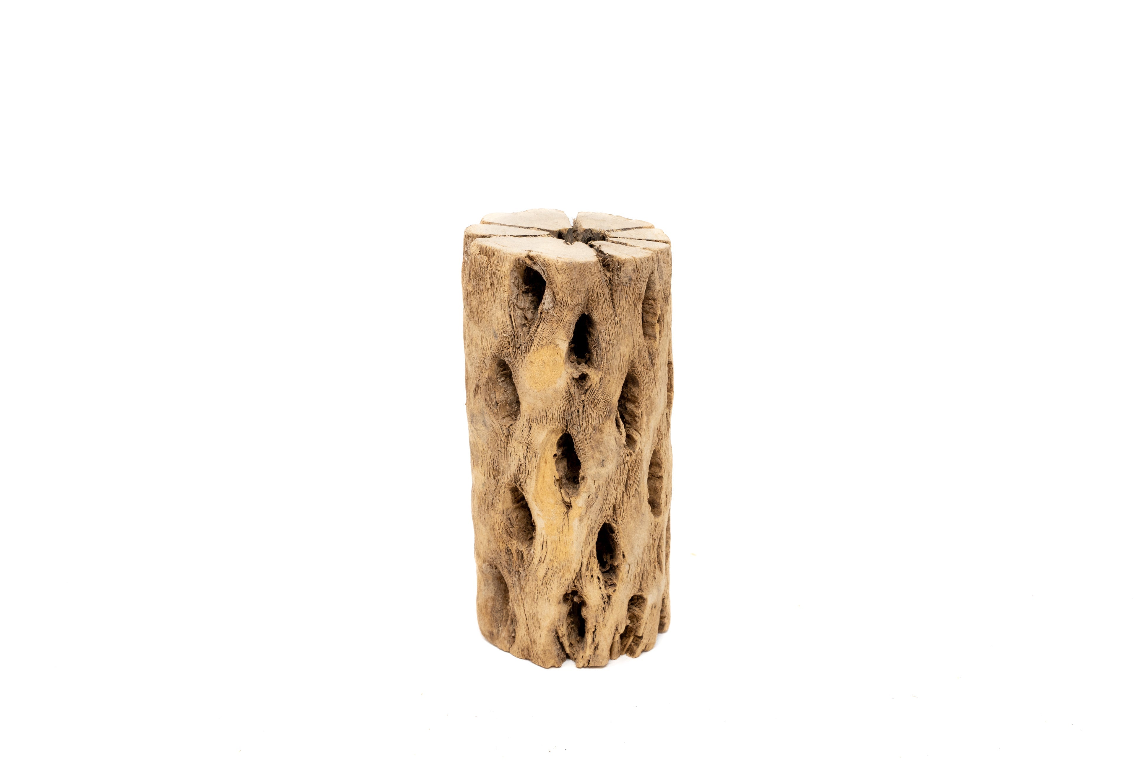 Natural Cholla Wood Container - 6 Inches Tall