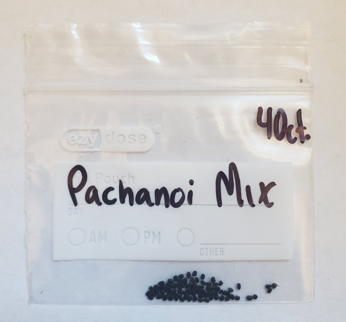 #I-500 Trichocereus Ornamental Cactus Seeds Pachanoi & Peruvian-Cactus - Large - Exact-The Succulent Source