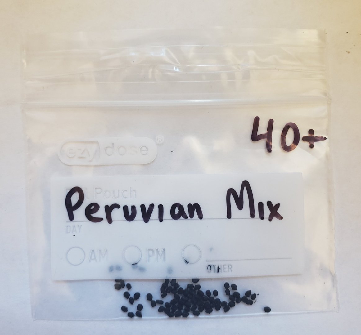 #I-500 Trichocereus Ornamental Cactus Seeds Pachanoi & Peruvian-Cactus - Large - Exact-The Succulent Source