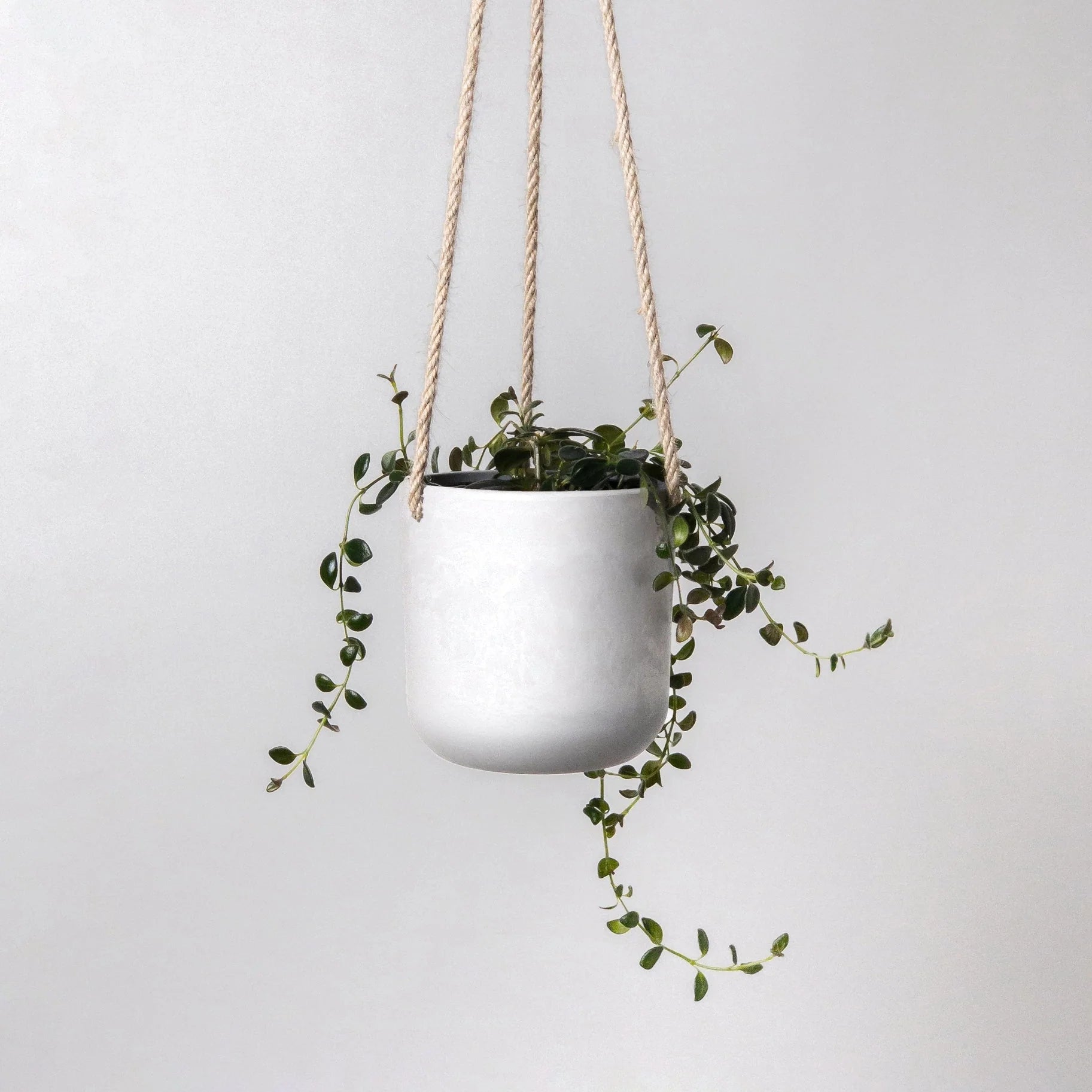 Upcycled Signature Stone Hanging Planter Pot 4"-Pots & Planters-The Succulent Source