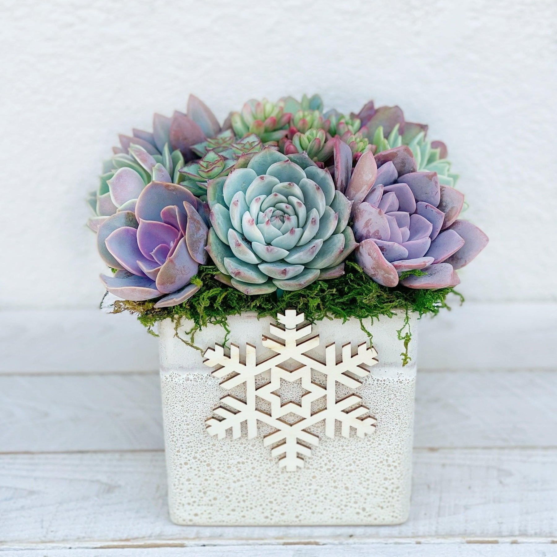 long white succulent planter Succulent Arrangement