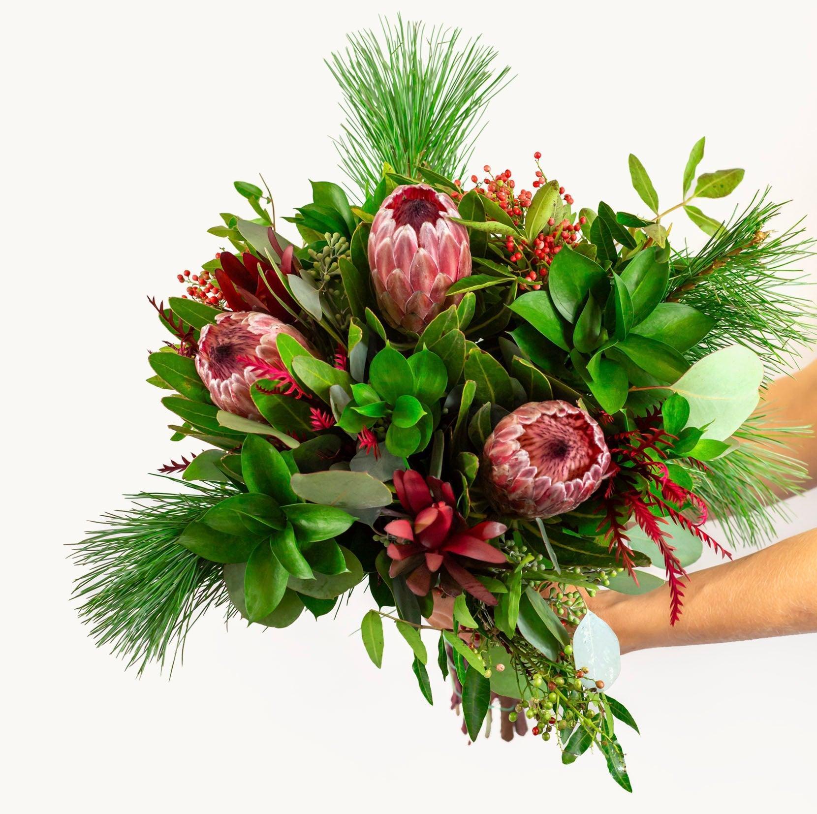 Winter in the Sierras-The Succulent Source