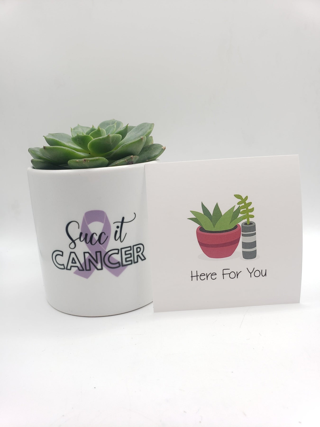 succ it cancer-Succulent - Gift-The Succulent Source