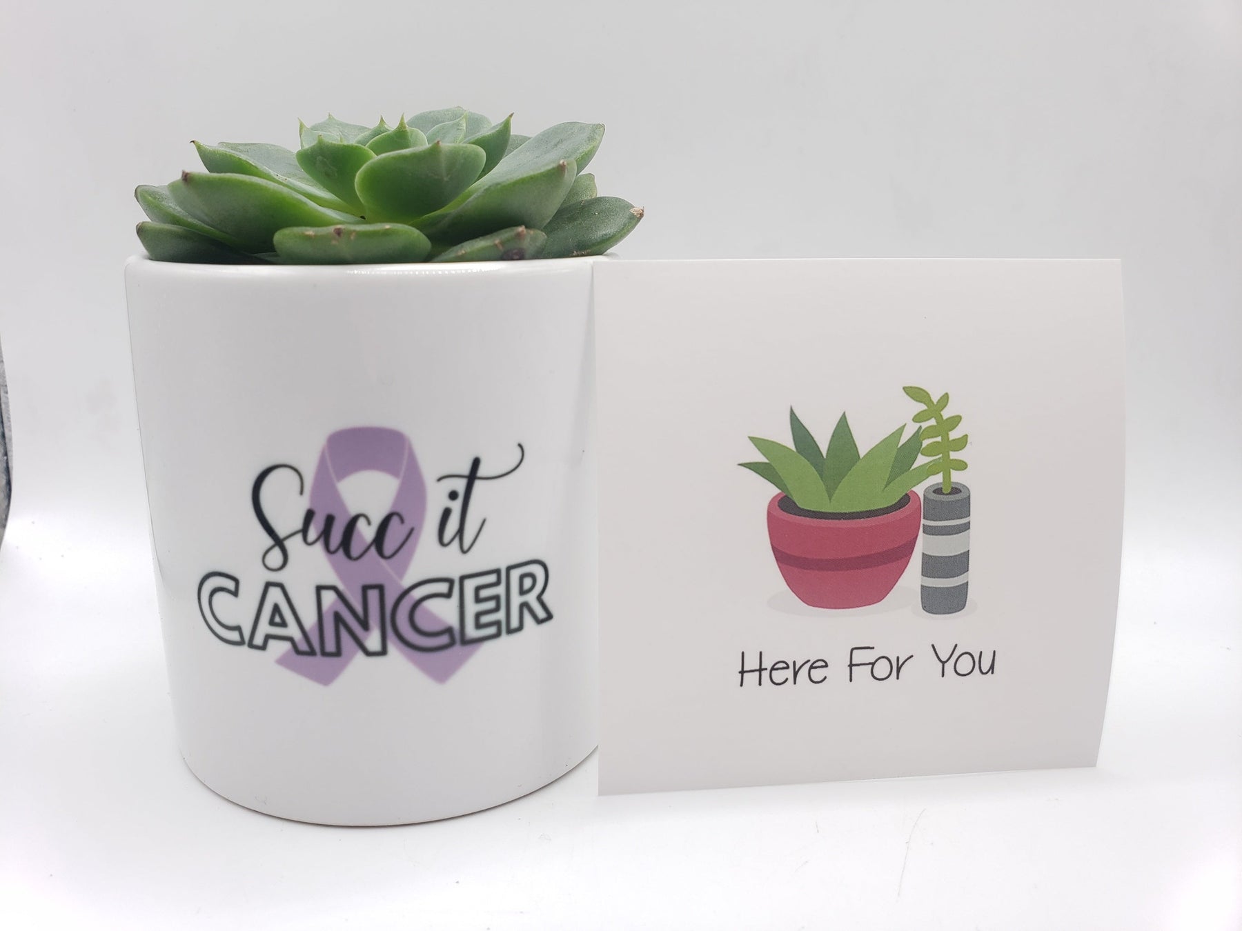 succ it cancer-Succulent - Gift-The Succulent Source