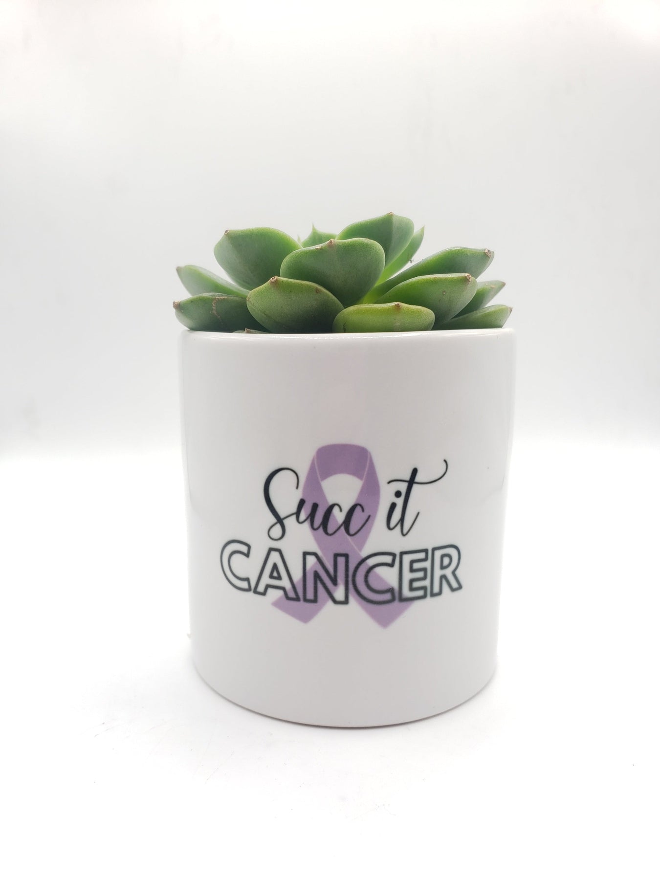 succ it cancer-Succulent - Gift-The Succulent Source