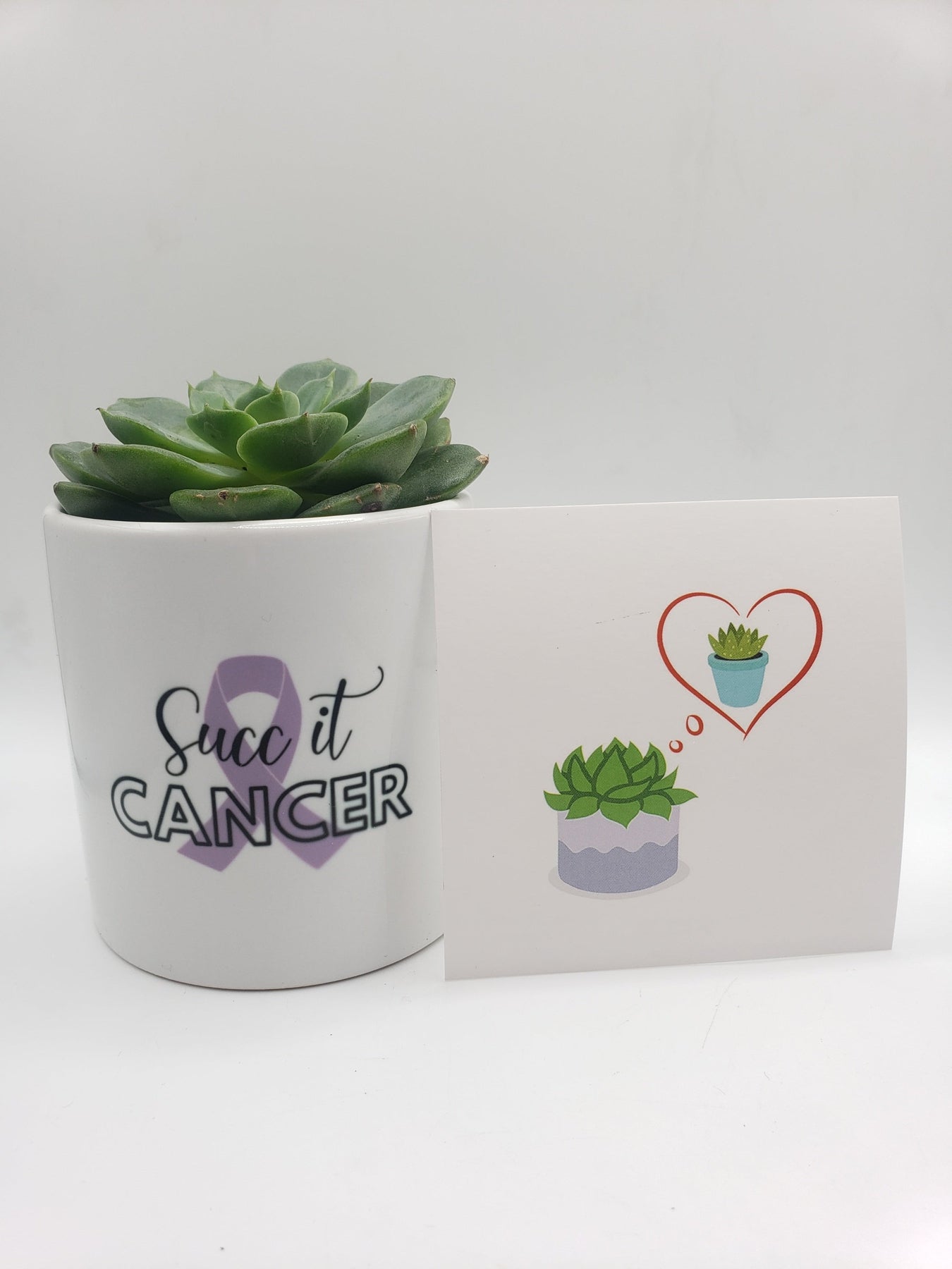 succ it cancer-Succulent - Gift-The Succulent Source