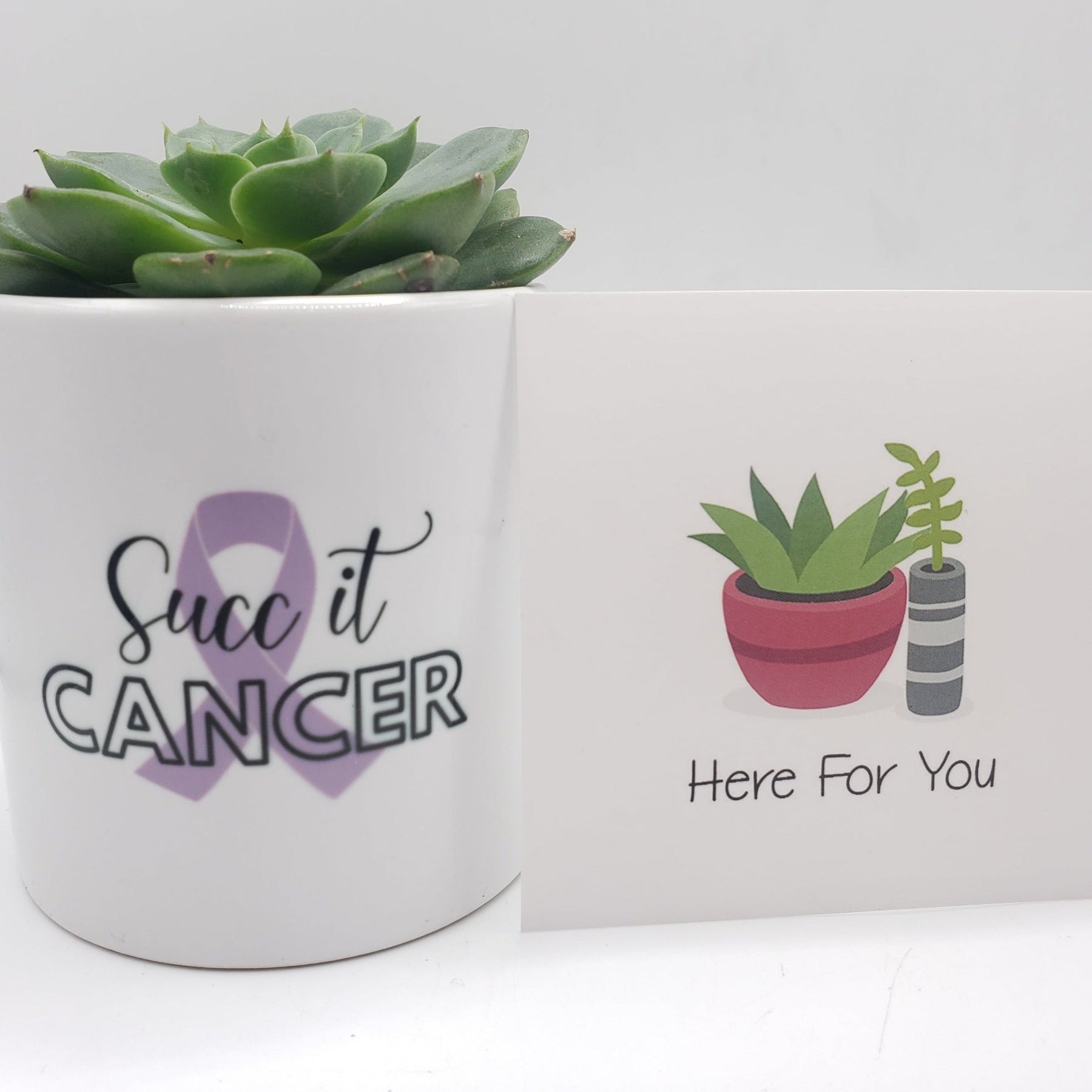 succ it cancer-Succulent - Gift-The Succulent Source