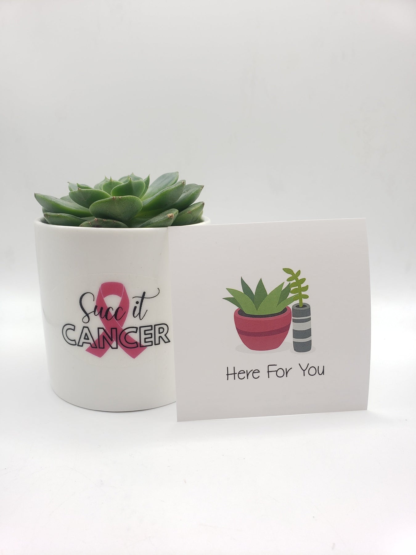 succ it cancer-Succulent - Gift-The Succulent Source