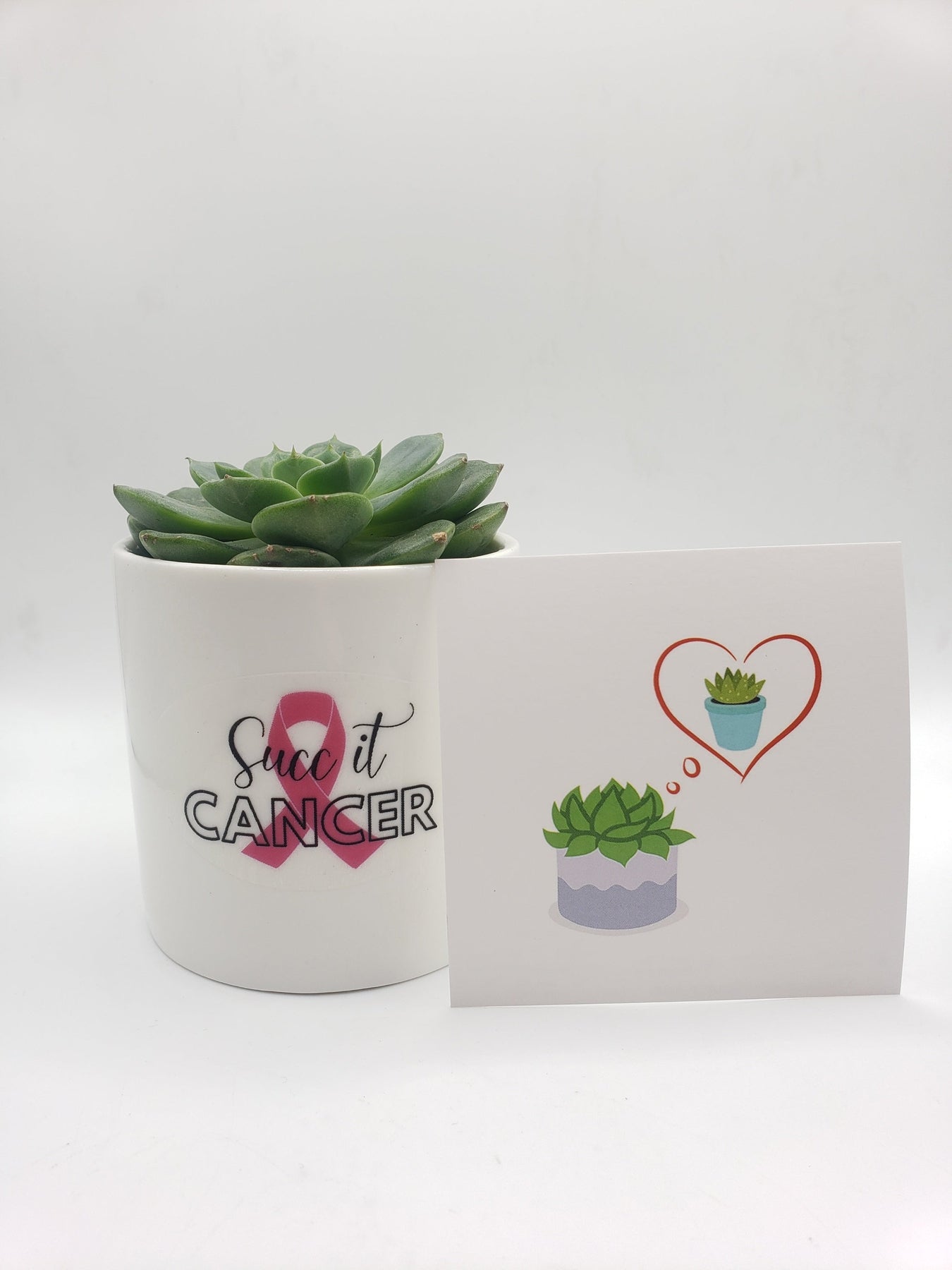 succ it cancer-Succulent - Gift-The Succulent Source