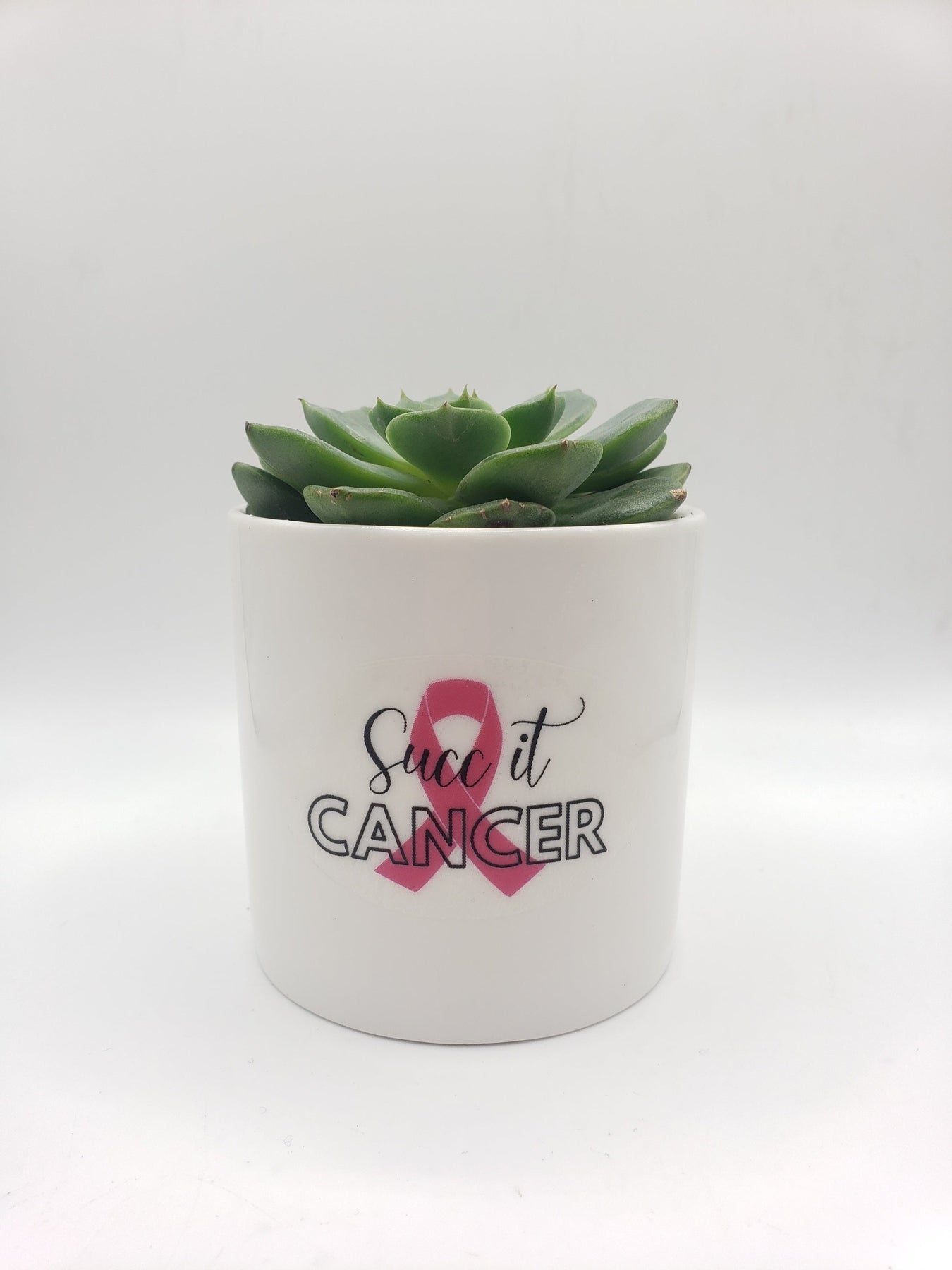 succ it cancer-Succulent - Gift-The Succulent Source
