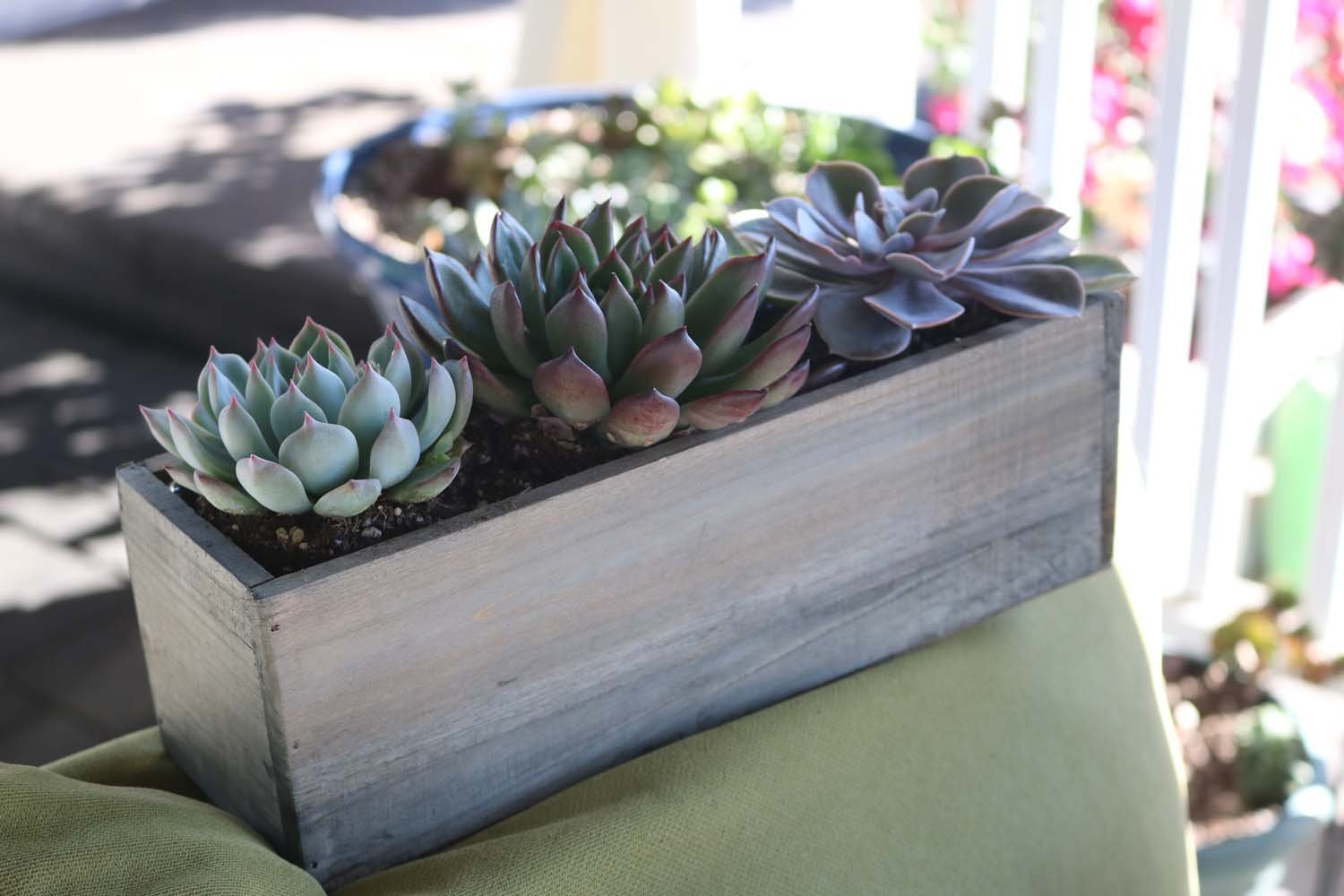 succulent planter box reclaimed centerpiece wedding