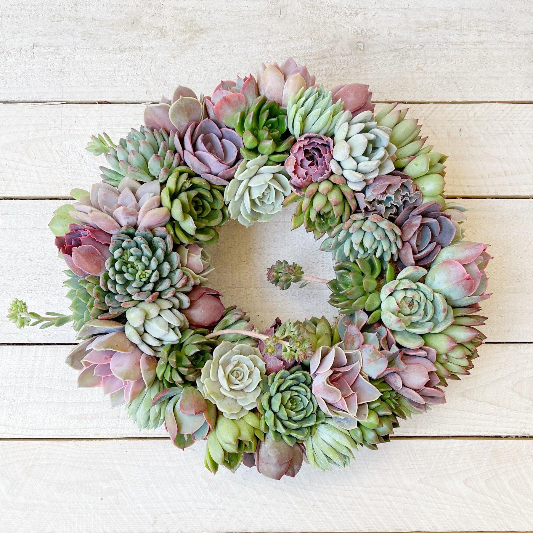 Aleida Succulent Wreath.