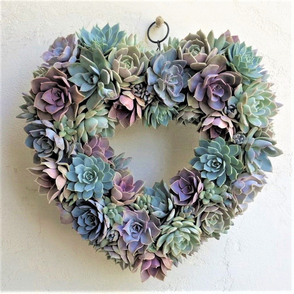 Angelique Heart-Shaped Succulent Wreath.