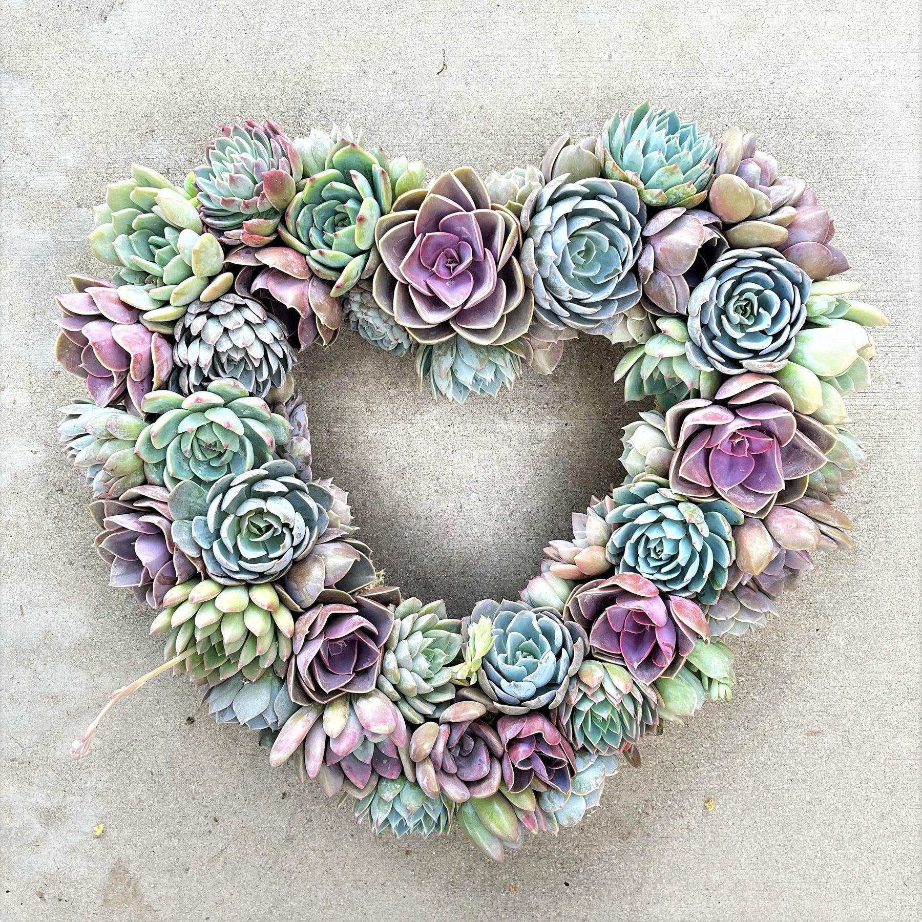 Angelique Heart-Shaped Succulent Wreath.