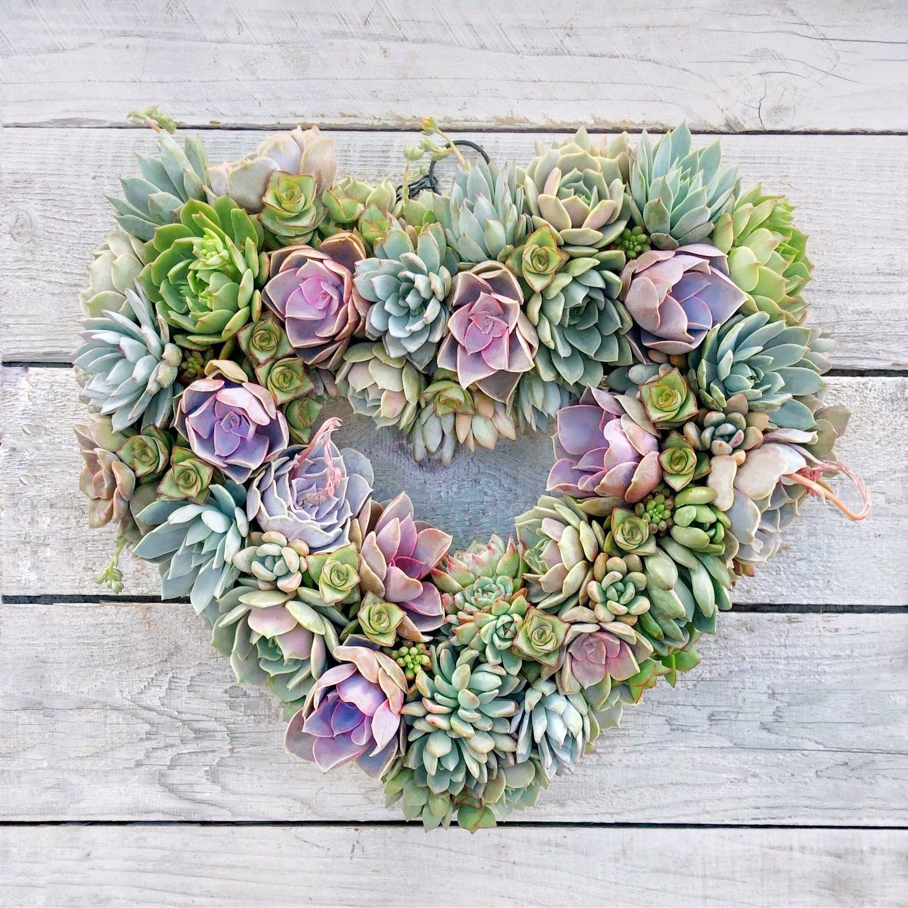 Angelique Heart-Shaped Succulent Wreath.