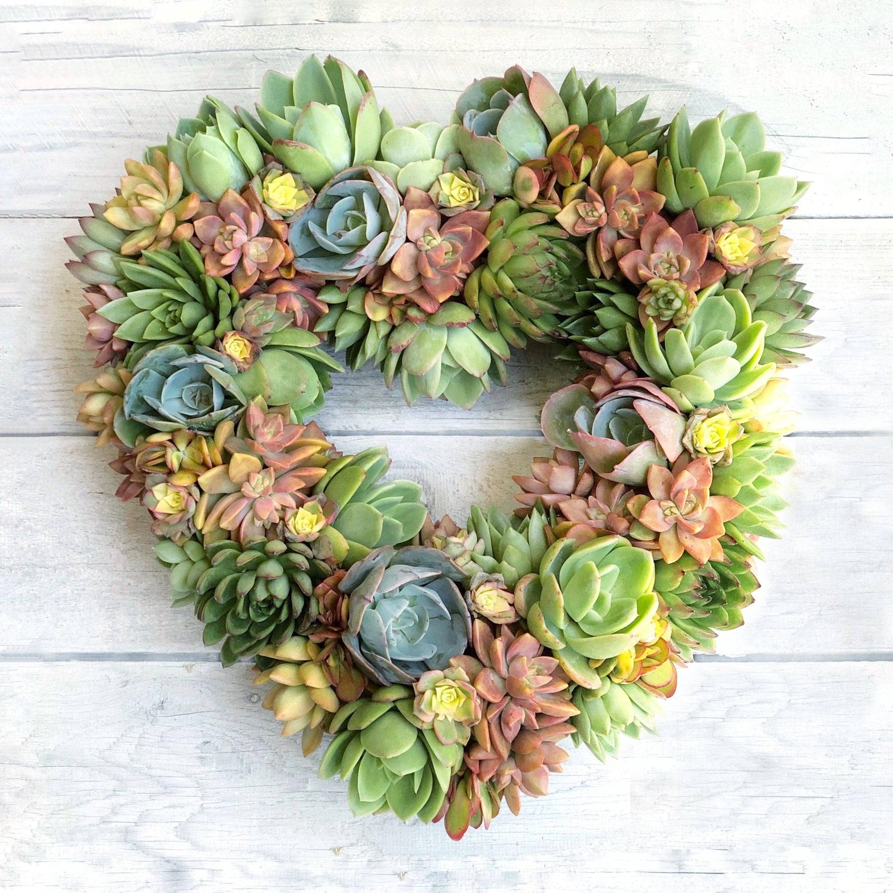 Angelique Heart-Shaped Succulent Wreath.
