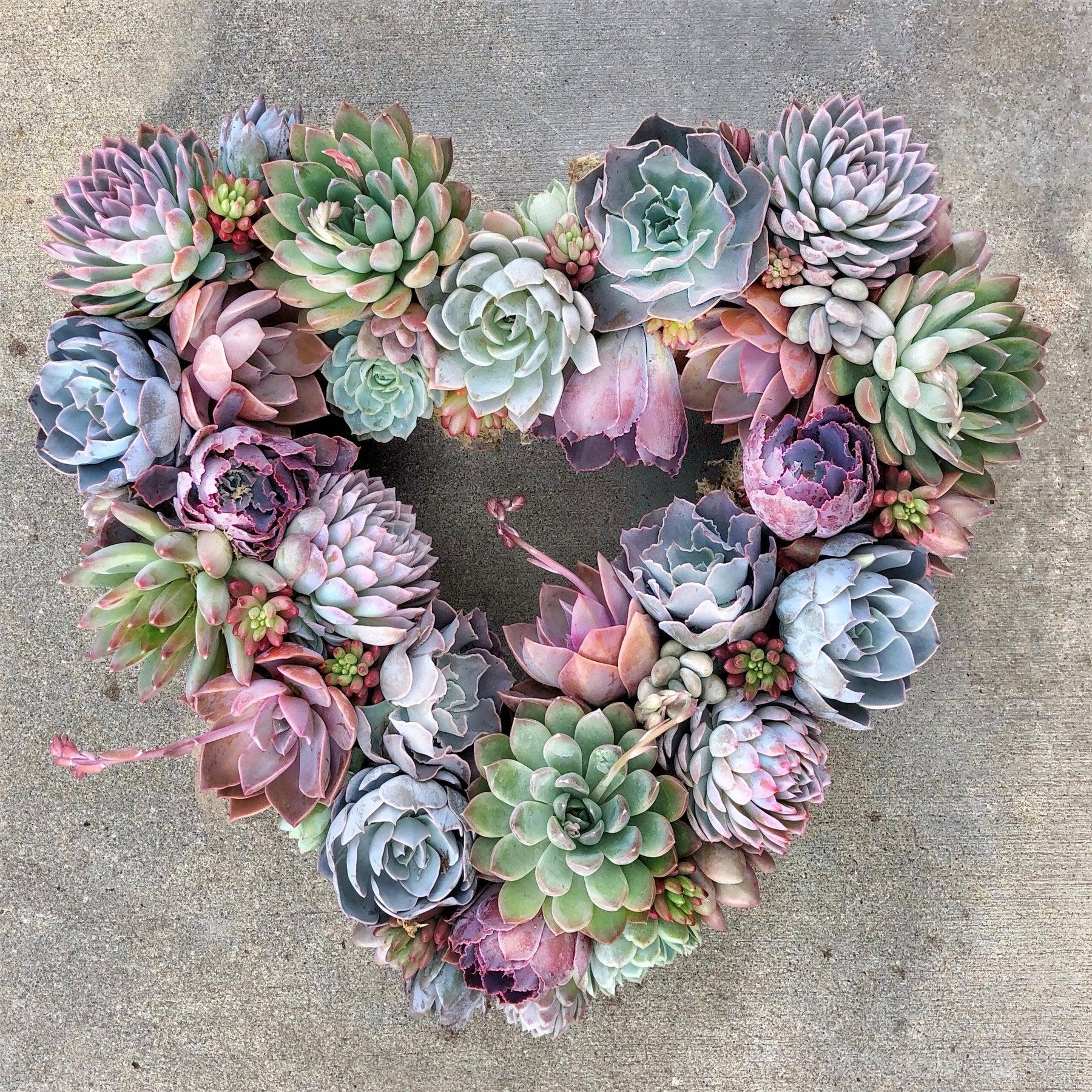Angelique Heart-Shaped Succulent Wreath.