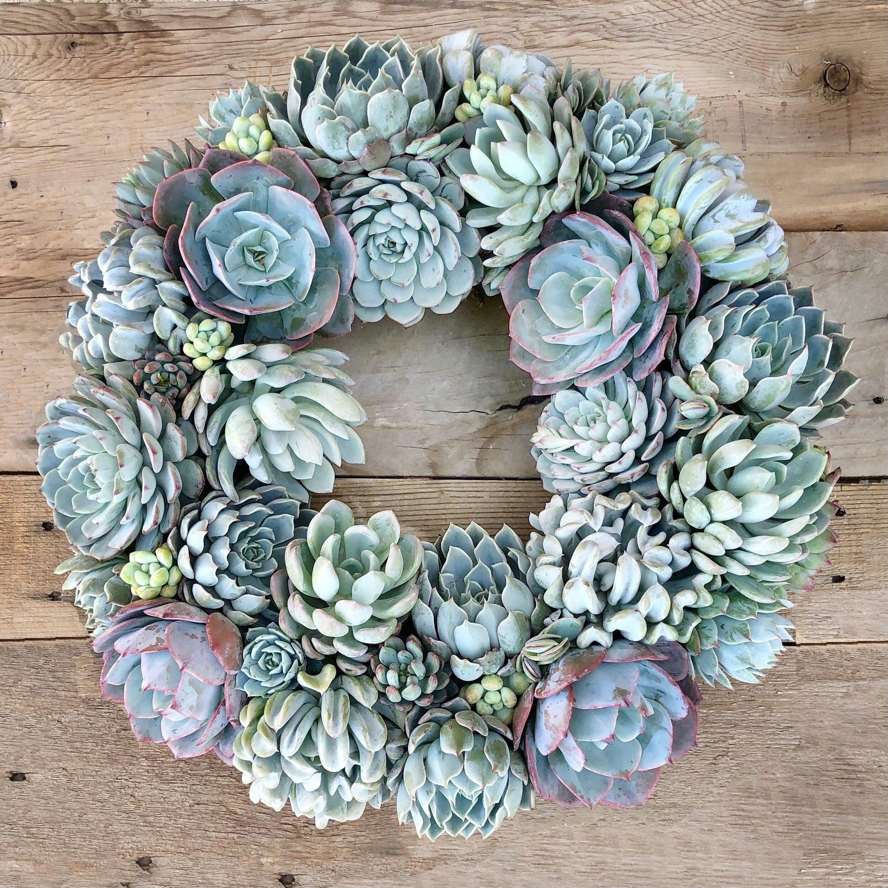 Brooke Shades of Blue Succulent Wreath.