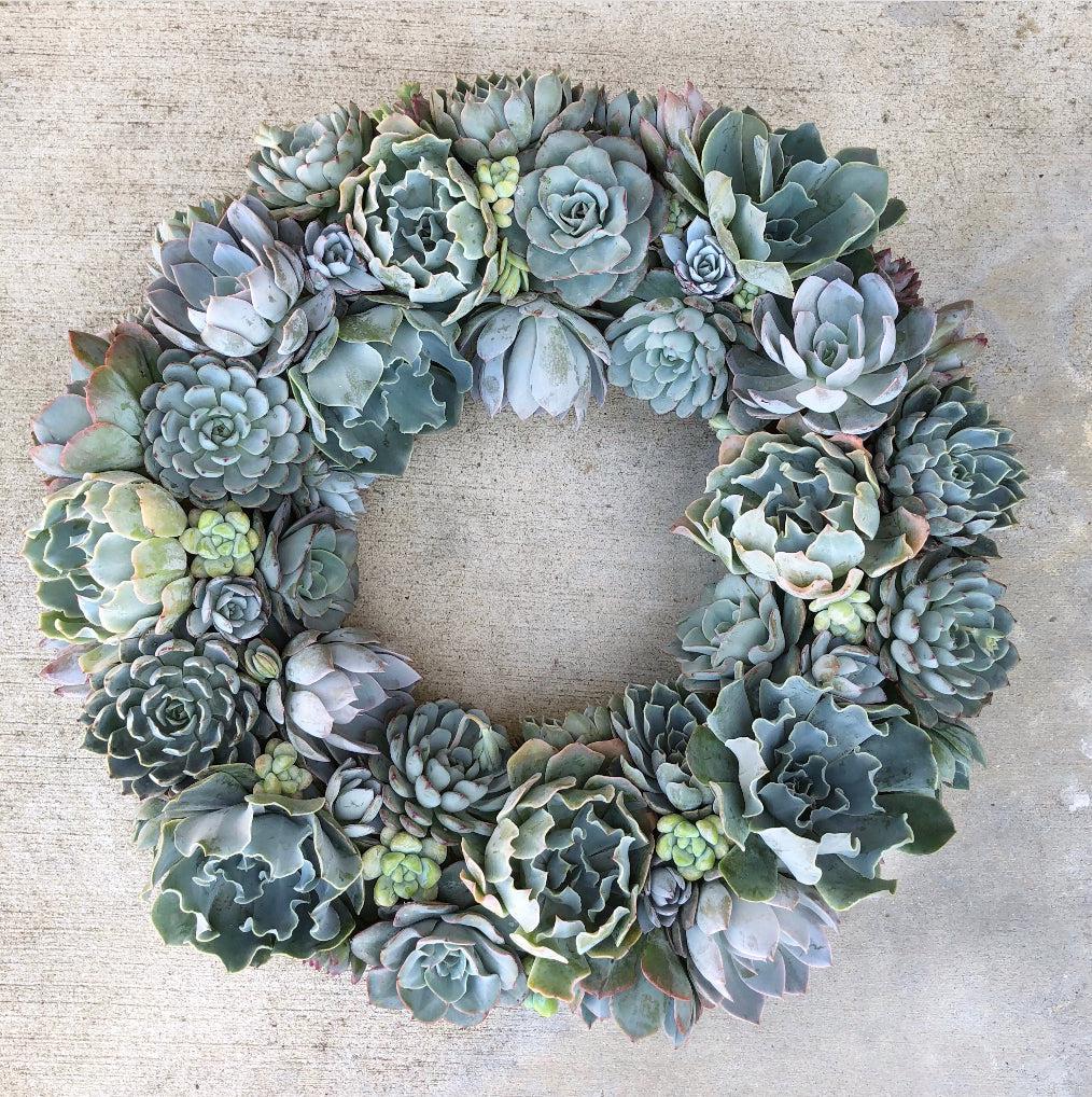 Brooke Shades of Blue Succulent Wreath.