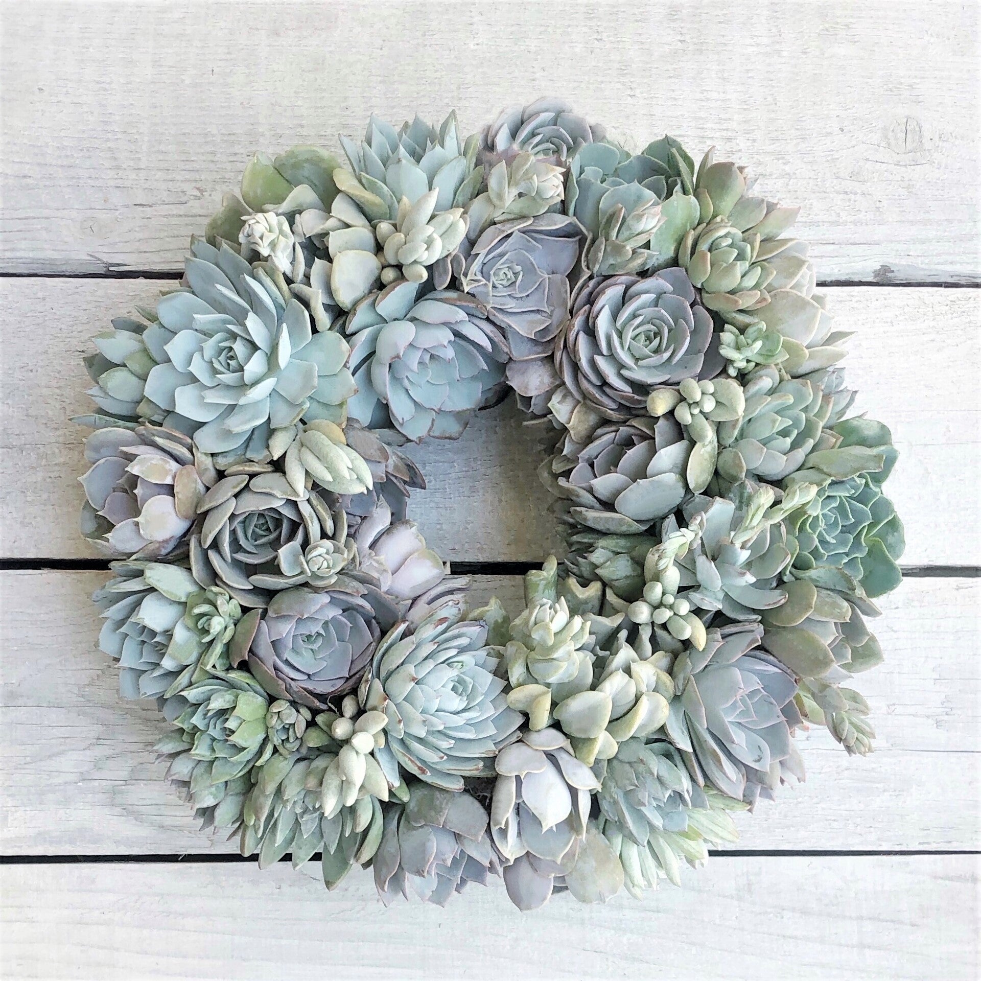 Brooke Shades of Blue Succulent Wreath.