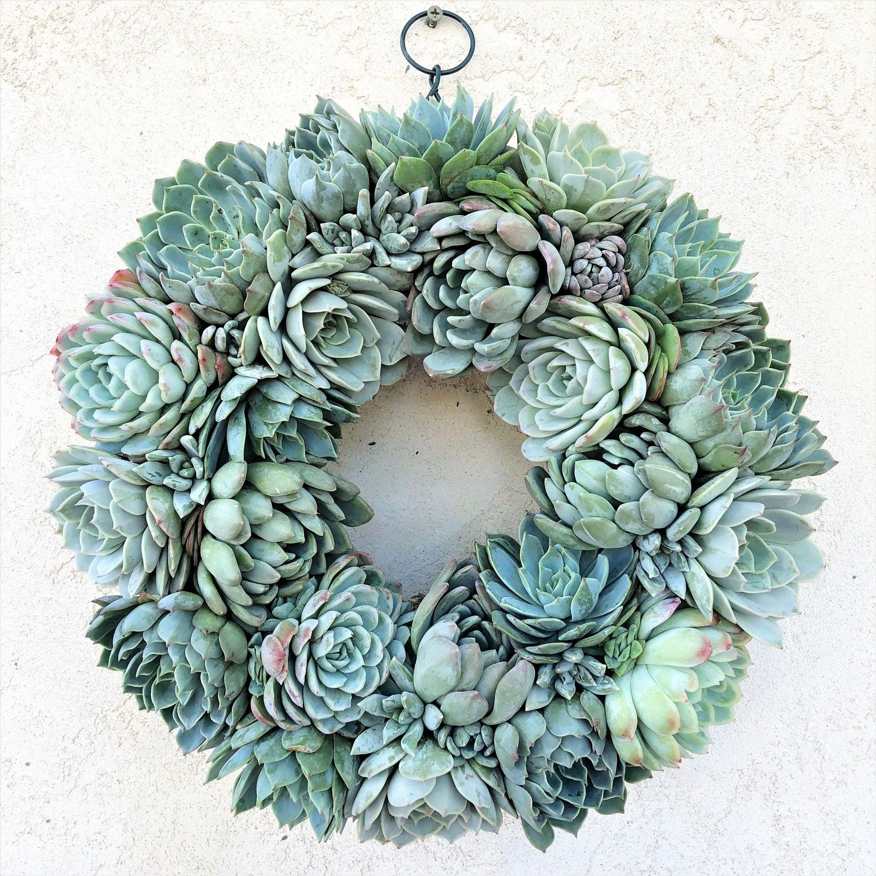 Brooke Shades of Blue Succulent Wreath.