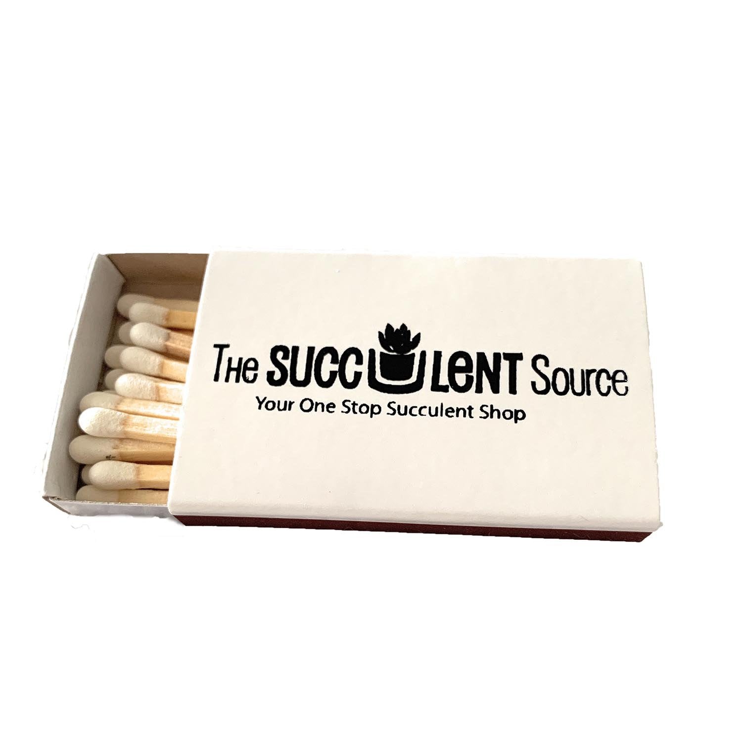 Branded Gift Box-Succulent - Corporate-The Succulent Source