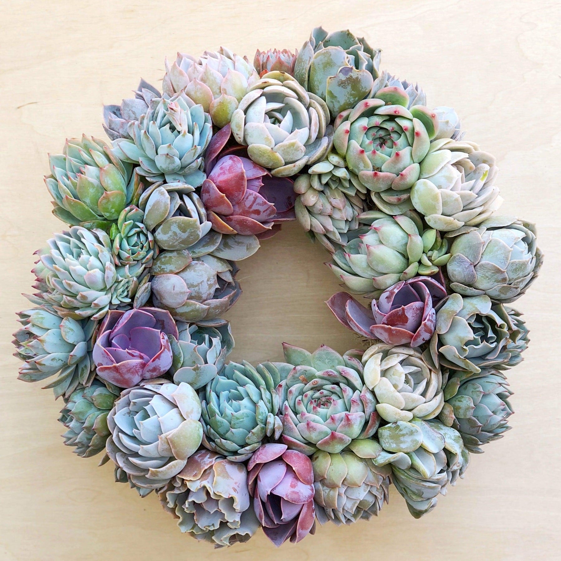 Caroline Succulent Bouquet Wreath.