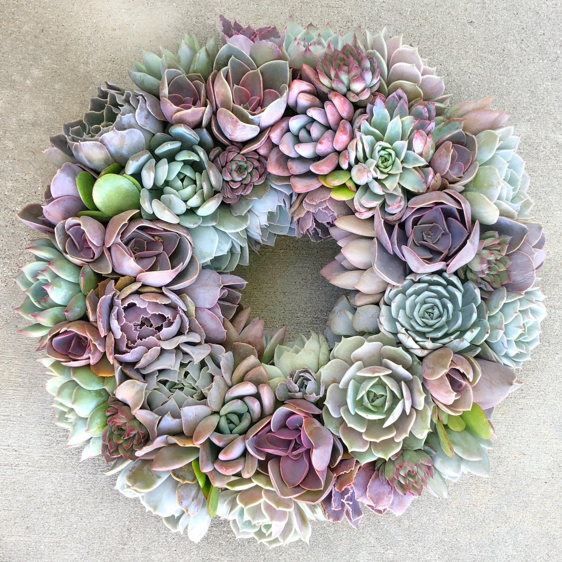 Caroline Succulent Bouquet Wreath.
