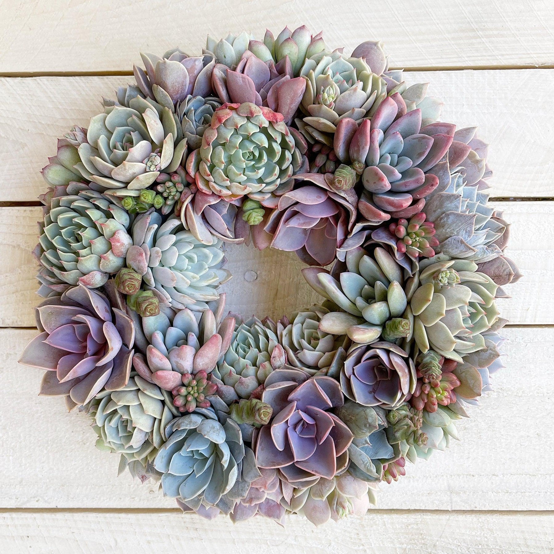 succulent wreath ideas Caroline Succulent Bouquet Wreath