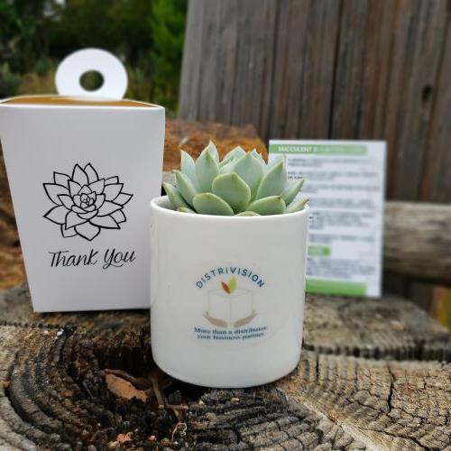 Ceramic Gift-Succulent - Corporate-The Succulent Source