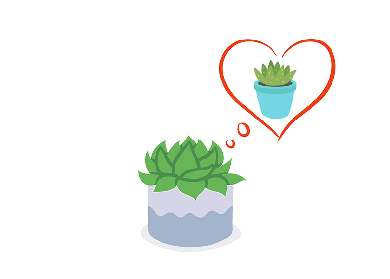 succulents and sunshine id cards Custom Cards