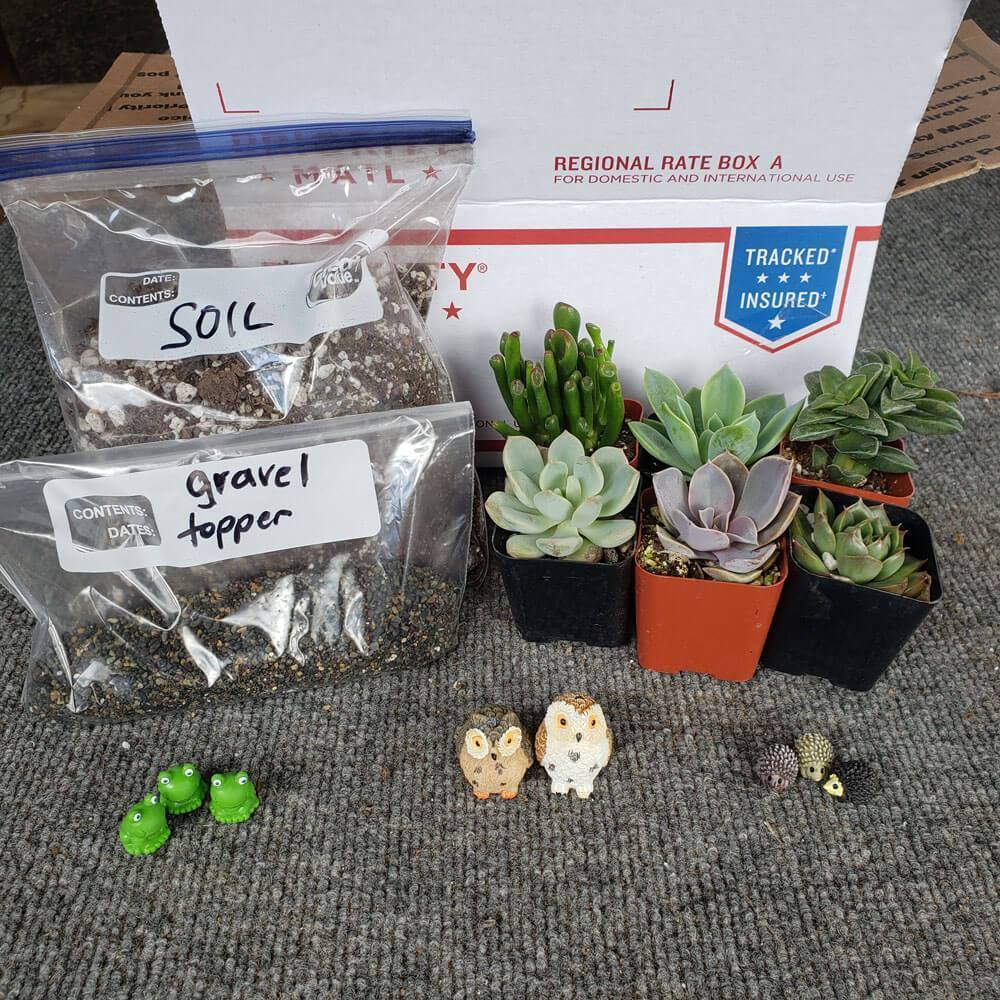 Mini Cactus & Succulent Cone Shaped Planter - DIY Kit