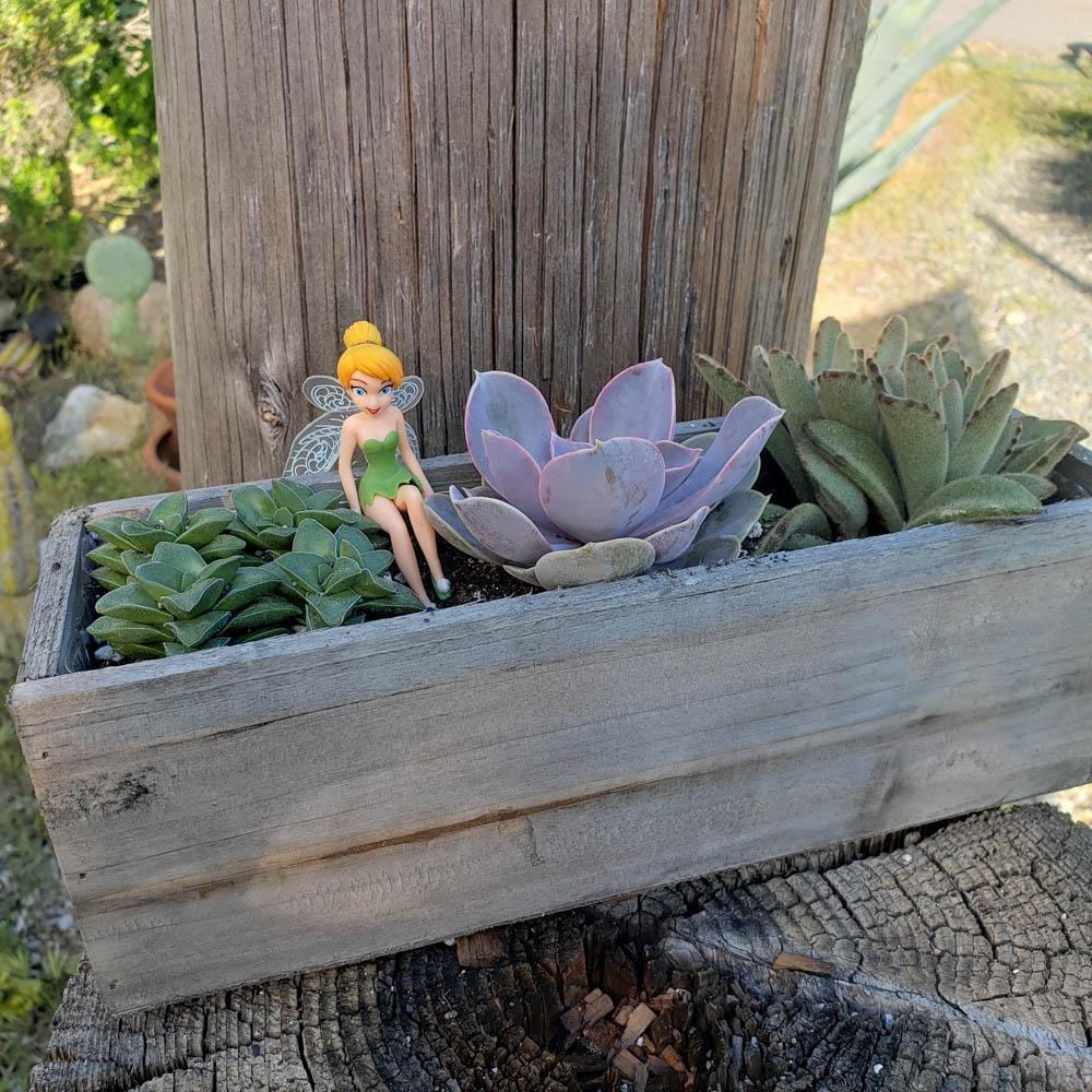 diy wooden succulent planter DIY Succulent Wood Box Kit for Kids Learning