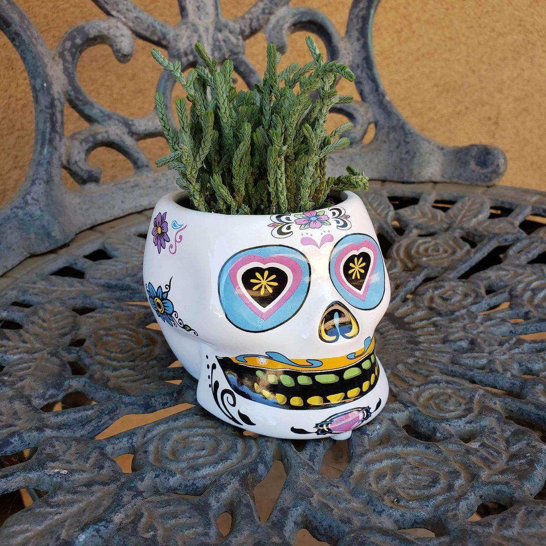 skull succulent planter Dia de los Muertos