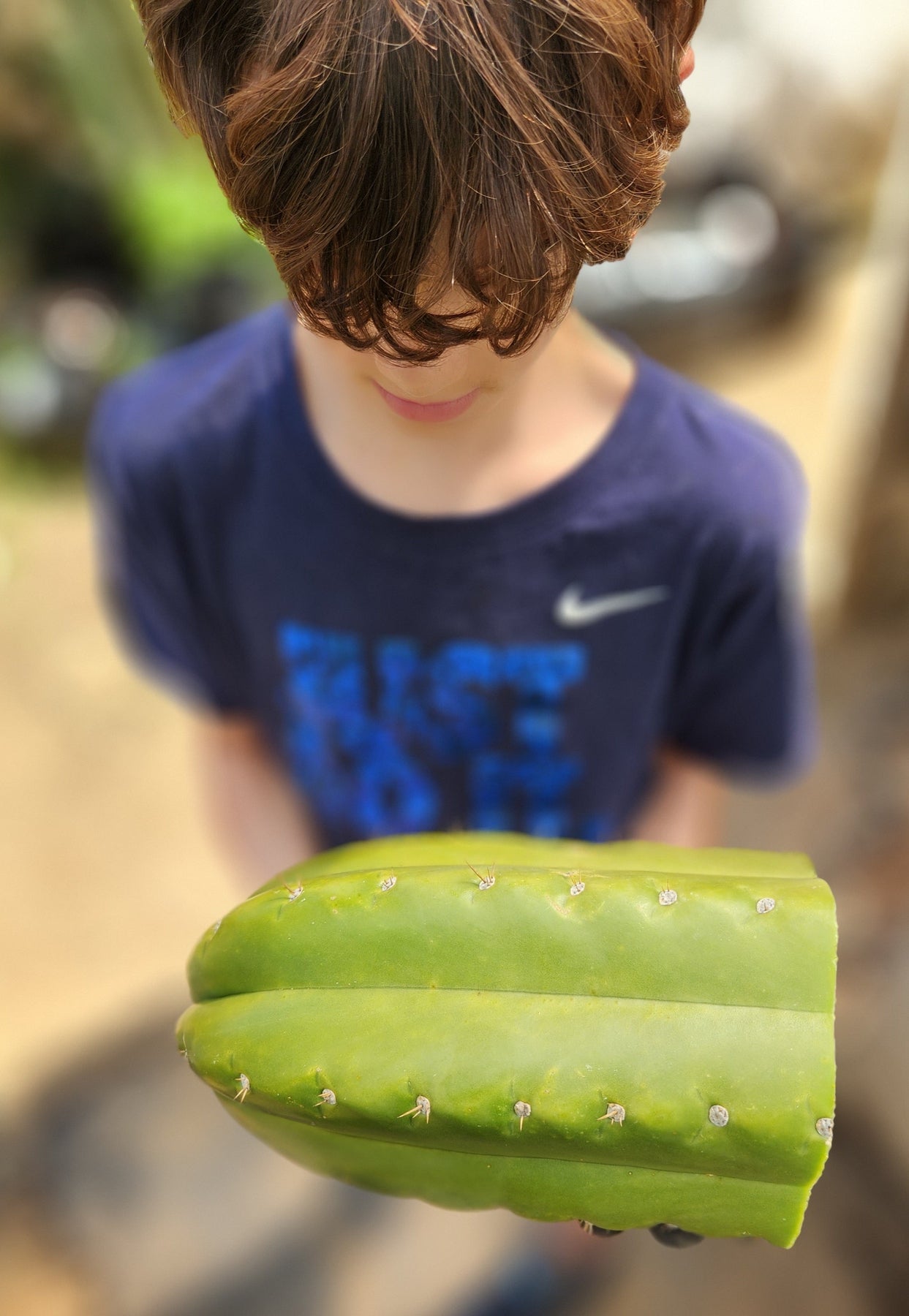 #EC300 EXACT Trichocereus Pachanoi "Phat Pach" Cactus Cutting-Cactus - Large - Exact-The Succulent Source