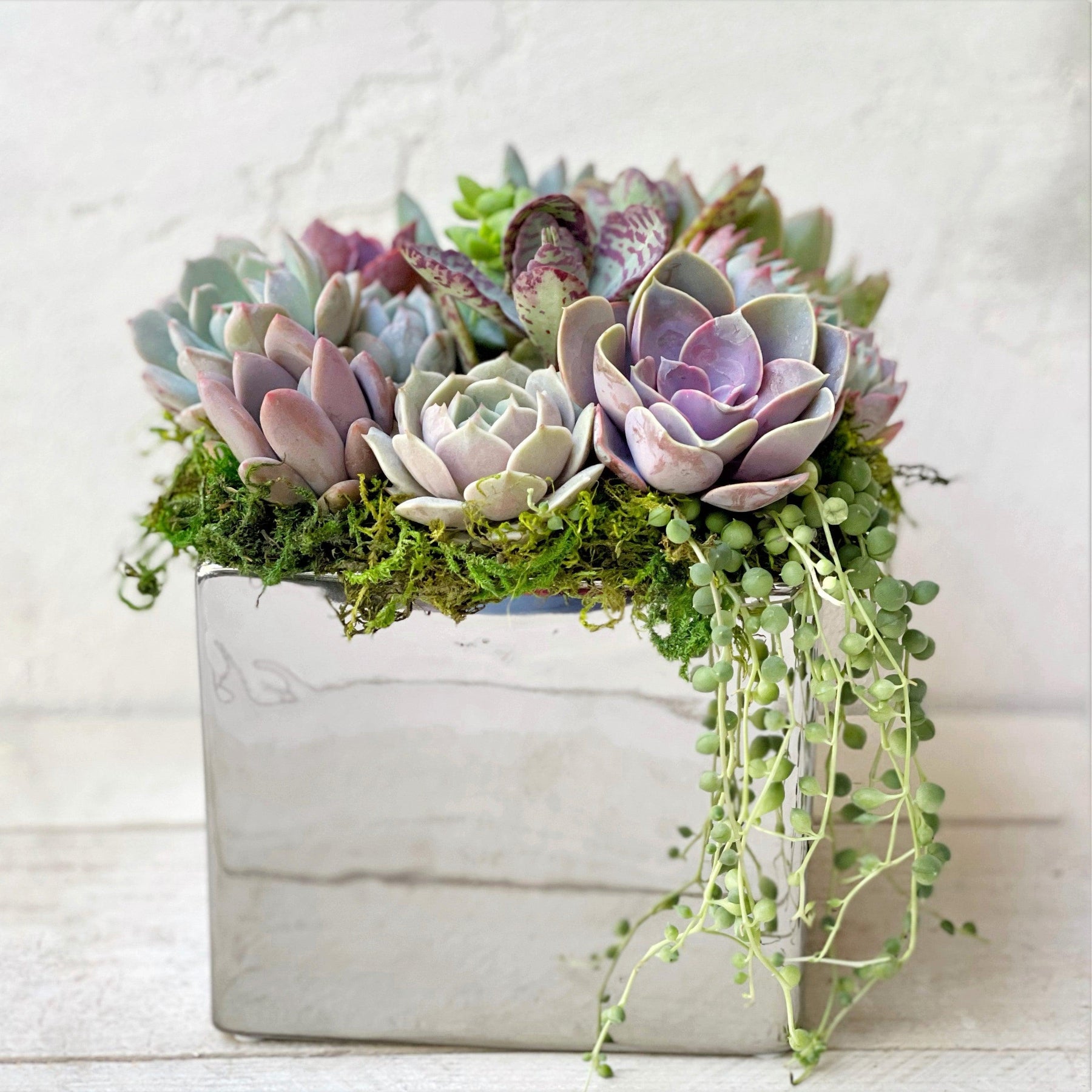 Elegant Metallic Glazed Ceramic Cube, Planted with Succulents.