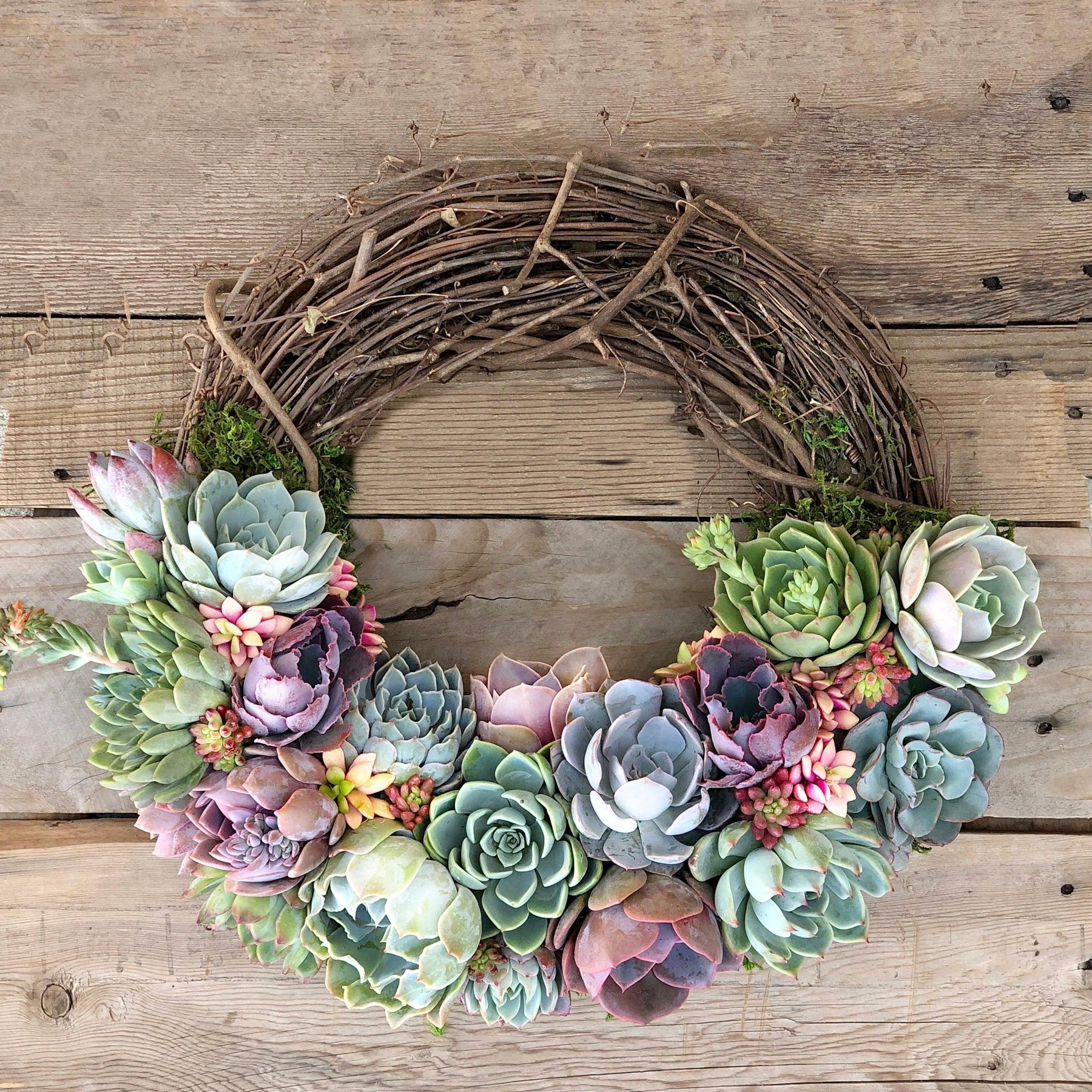 Emilee Grapevine Wreath Trimmed With Succulents.