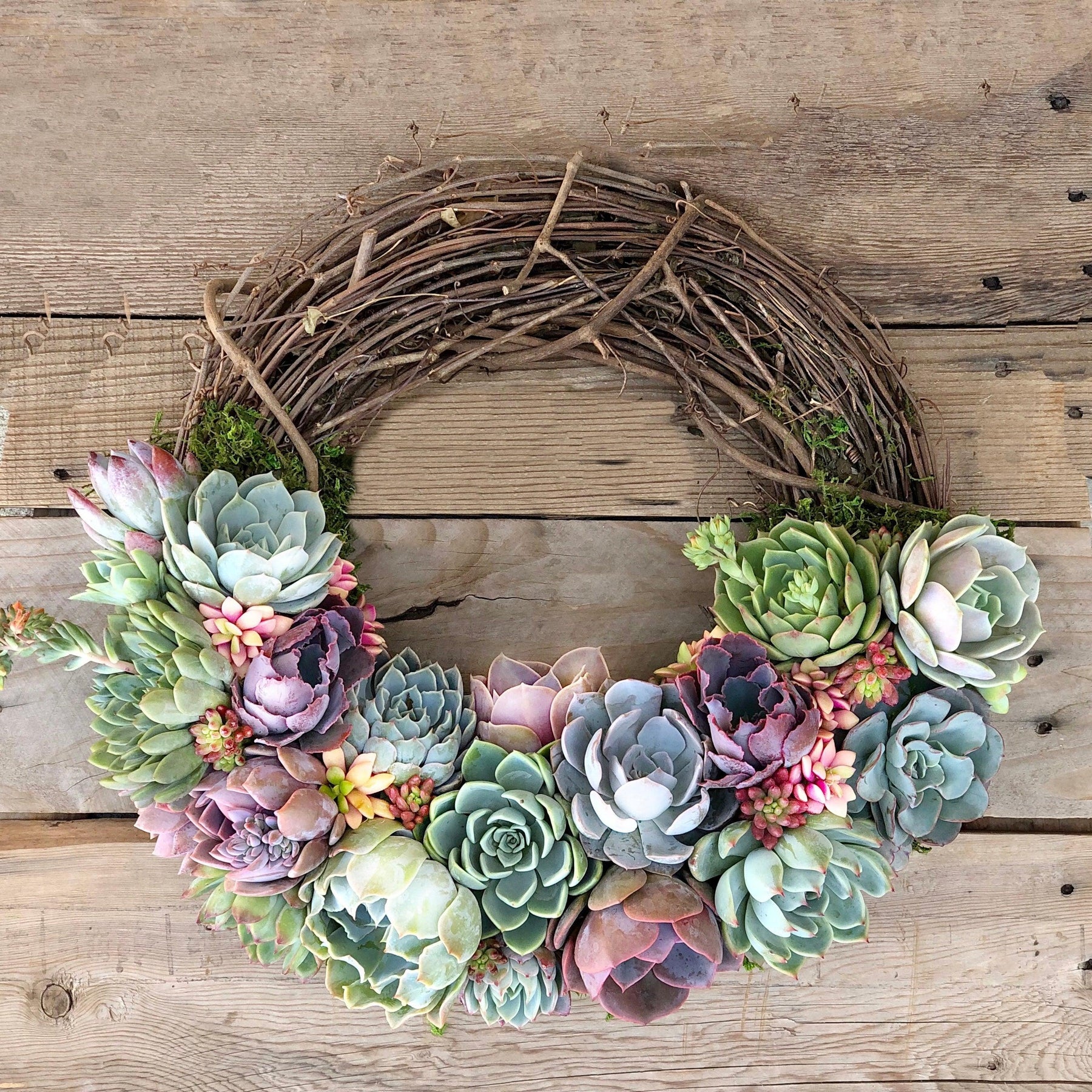 Emilee Grapevine Wreath Trimmed With Succulents.