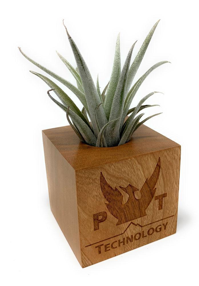 Etched Magnetic Wood Cube-Succulent - Gift-The Succulent Source