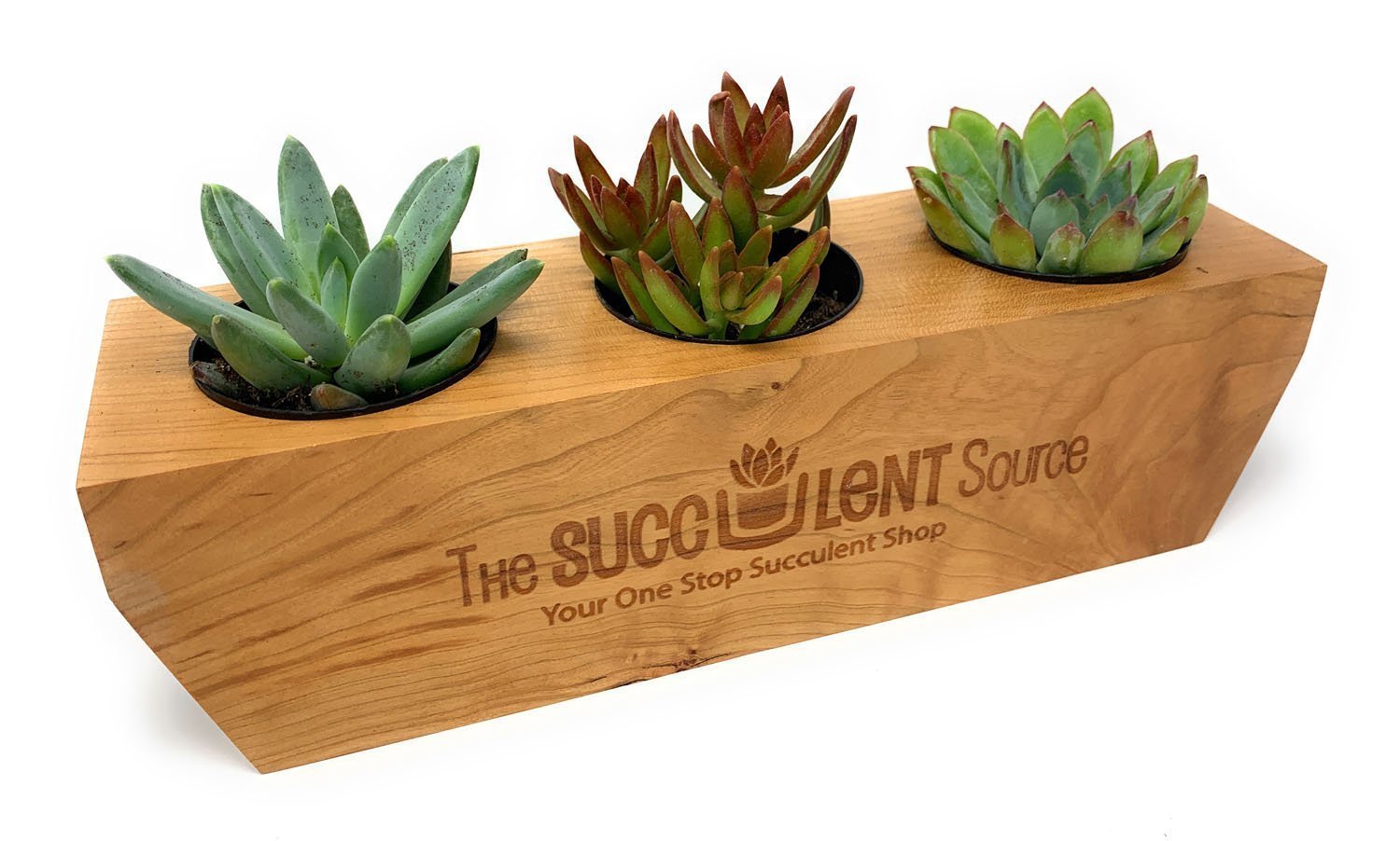 succulent plant gift box Etched Wood Planter Box