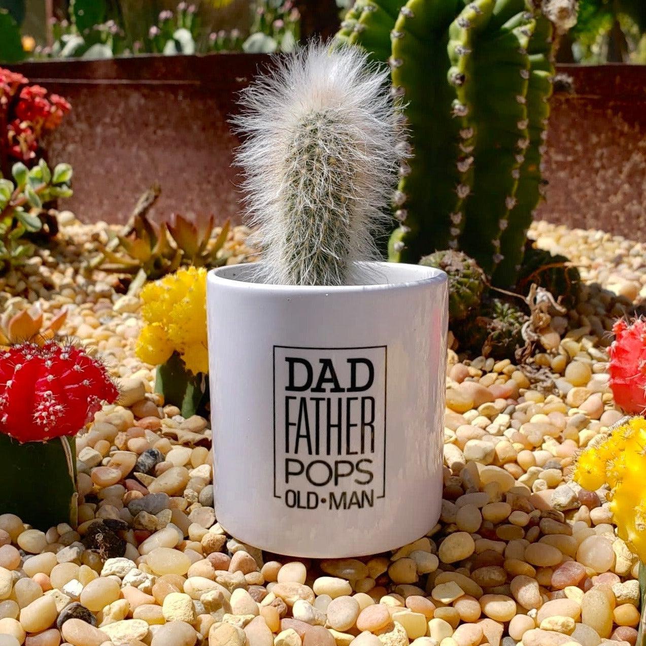 dad plant pot Father's Day OLD MAN Cactus Pot