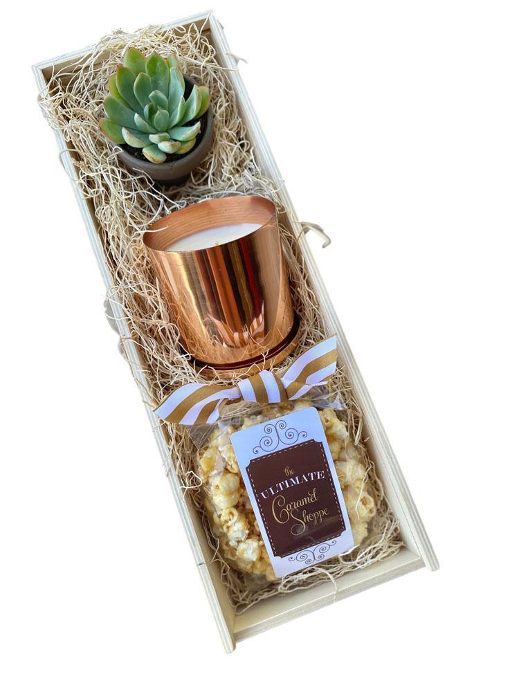 succulent shoppe Corporate Succulent Gift Box