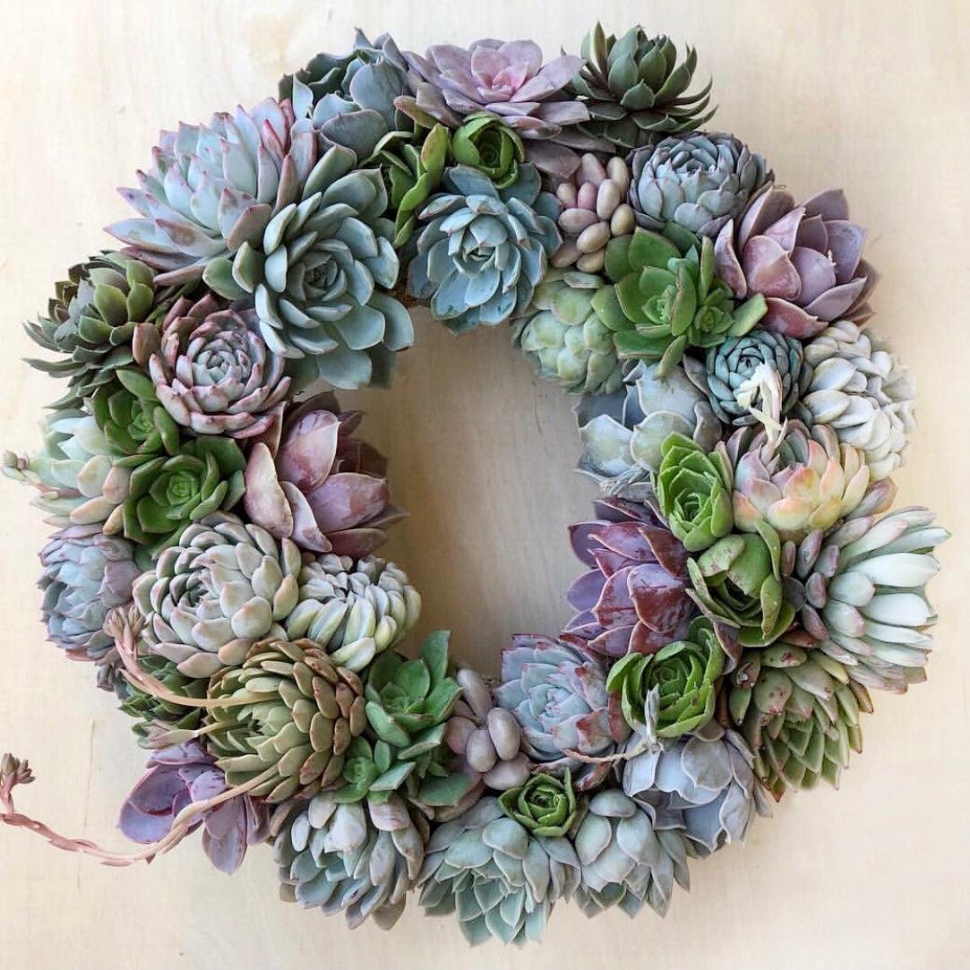 Gigi Succulent Wreath.