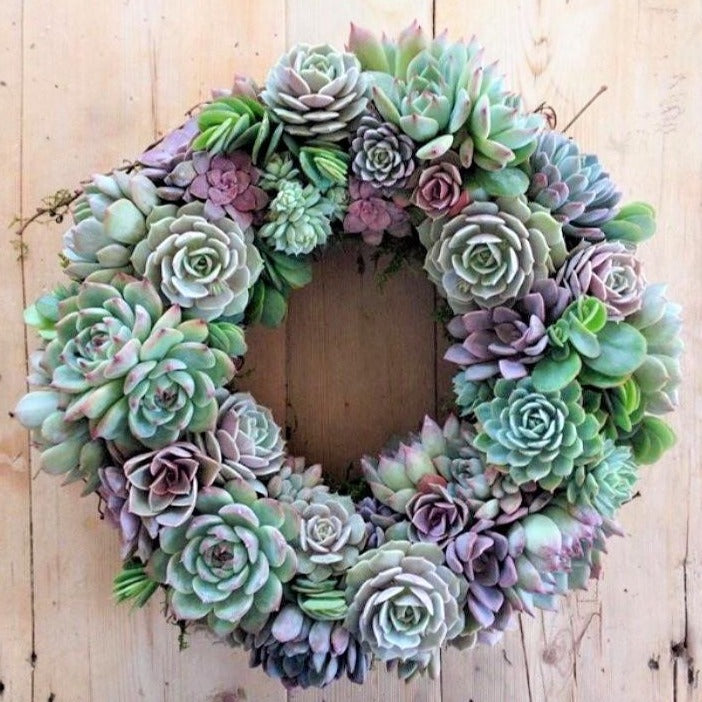 pottery barn succulent wreath Succulent Arrangement