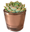 Glass Votives 2.5"-Accessory-The Succulent Source