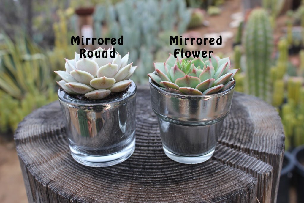 glass planters for succulents Mirrored Votives Flower Pots for Succulent Wedding Favors